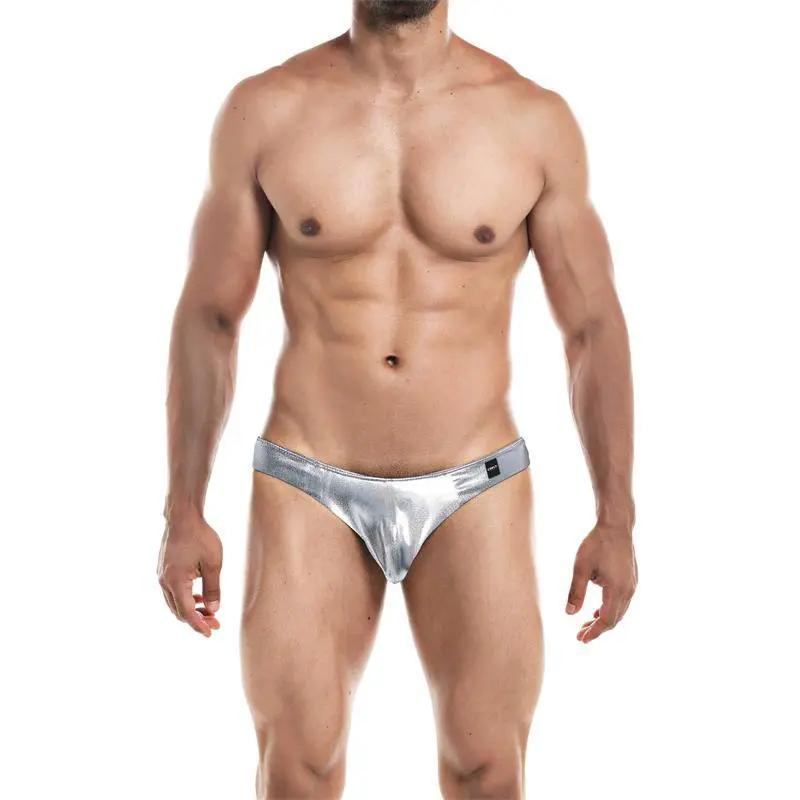 Low Rise Bikini Brief Skai Silver - secretsextoys.store