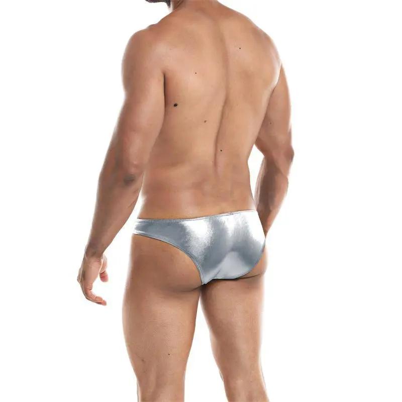 Low Rise Bikini Brief Skai Silver - secretsextoys.store
