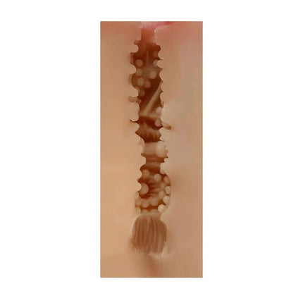 Cross-section view of Male Masturbator Pussy Maud Skin showing realistic textures and lifelike tunnel design.