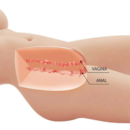 Cross-section view of Masturbator Replica 5.5kg showing labeled vaginal and anal openings.