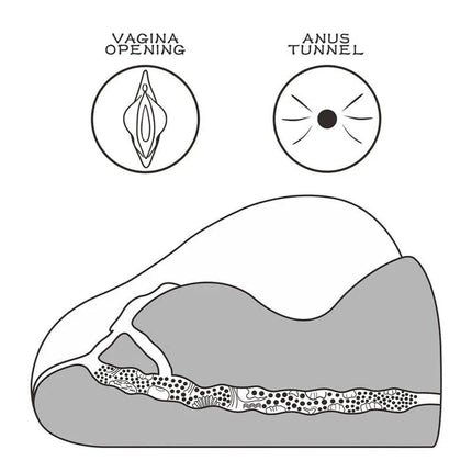 Diagram of Masturbator Streetgirls 2 showing dual insertions and textured tunnels for realistic stimulation.