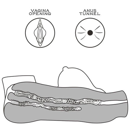 Diagram of Masturbator Streetgirls 5 showing dual-entry design with vagina opening and anus tunnel.