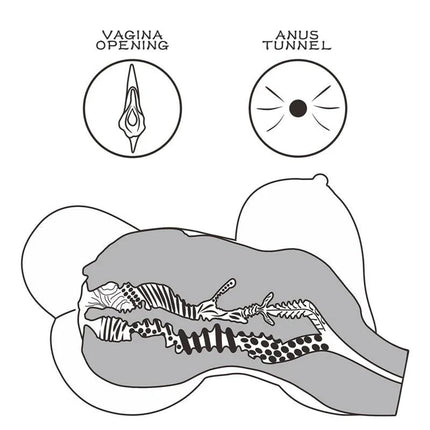 Illustration of Masturbator Streetgirls 6 showcasing vagina opening and anus tunnel for varied stimulation