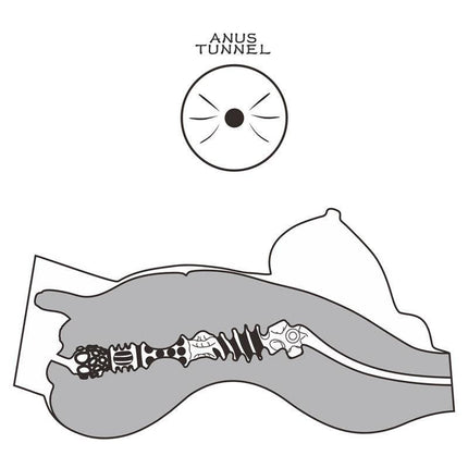 Diagram of Masturbator Streetgirls 8 showing the ergonomic, textured anus tunnel for an immersive experience.
