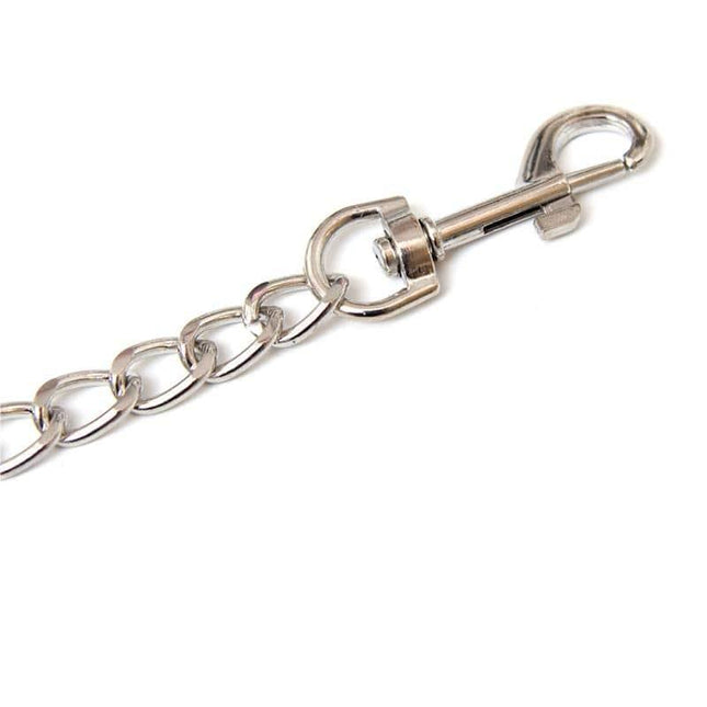 Close-up of silver-tone Metal Chain Leash from Latetobed BDSM Line with ergonomic handle, 65 cm length, and secure clasp.