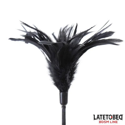 Black Multi Feathers Tickler from the Multi Feathers Tickler and Lace Ribbon Paddle Comb set by Latetobeg BDSM Line