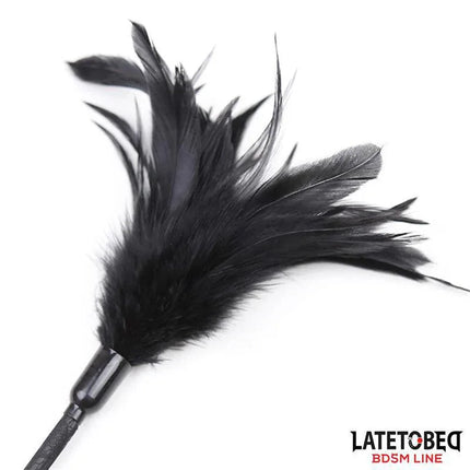 Multi Feathers Tickler and Lace Ribbon Paddle Comb featuring soft black feathers for a sensual tickling experience