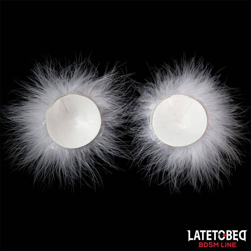 Nipple Covers with Feather - secretsextoys.store