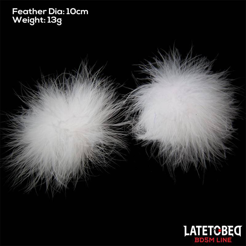 Nipple Covers with Feather - secretsextoys.store