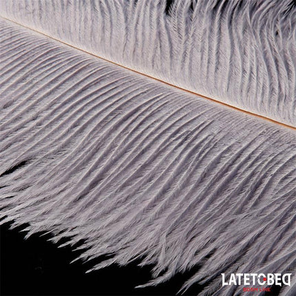 Close-up of Ostrich Feather 44 cm from Latetobed BDSM Line, showcasing soft texture and elegant fibers for sensory play.