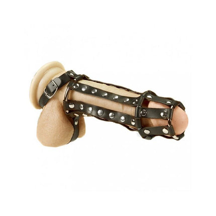 Penis and Ball Harness in black with adjustable straps and inner spike texture for enhanced stimulation and secure fit.