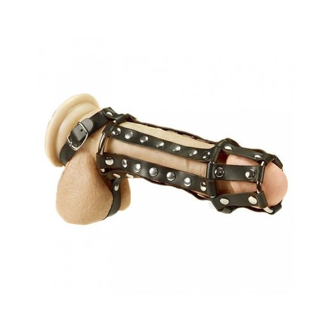 Penis and Ball Harness with adjustable straps and inner spike texture for enhanced stimulation and secure fit.