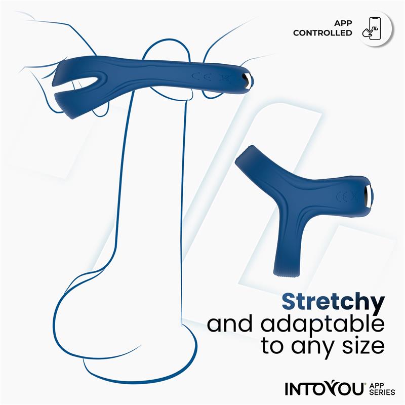 Rank Vibrating Ring with App Blue - secretsextoys.store