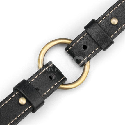 Close-up of Rebellion Reign Tie Collar made from durable PU material with a sleek design and brass accents.