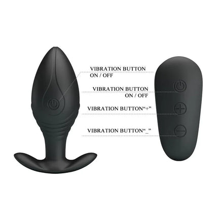 Regina Royal Butt Plug with Remote USB showing design and controls