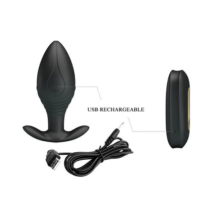 Regina Royal Butt Plug with Remote USB, showing plug and remote with USB cable