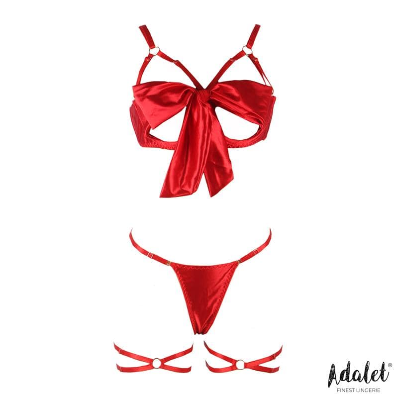 Riley Bra with Bow, Thong, and Garters Set - secretsextoys.store