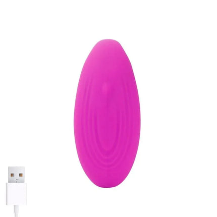 Roomie Couples Vibrator Liquid Silicone Unibody Remote Control USB in pink with charging cable
