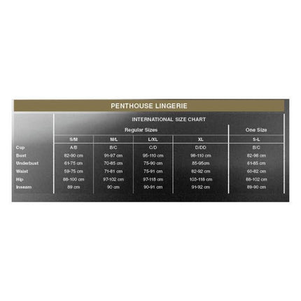 Penthouse Lingerie international size chart for Salute Me Mesh Teddy.