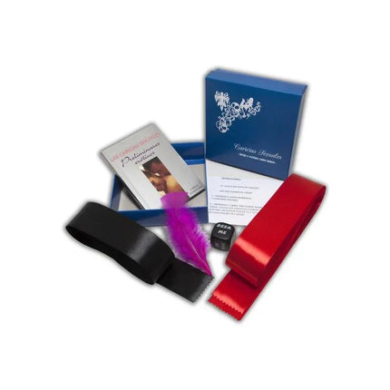 Sexual Caress Game kit with bondage tape, blindfold, stimulating pen, action die, feather tickler for couples’ play.