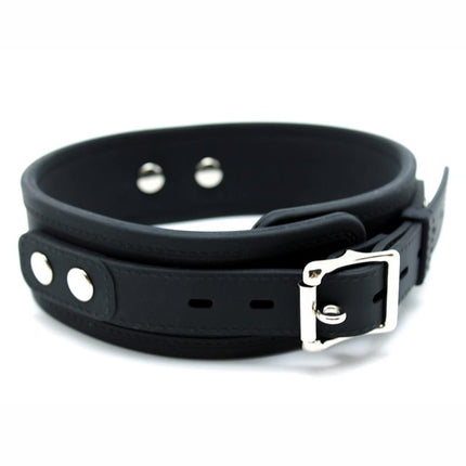 Collar with Leash Silicone