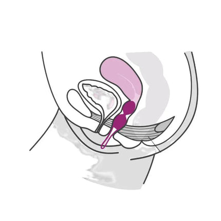 Anatomical illustration showing the placement of Smartballs duo Kegel Balls White/Pistachio within the pelvic floor area for strengthening exercises.