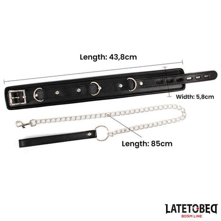 sponge collar with leash