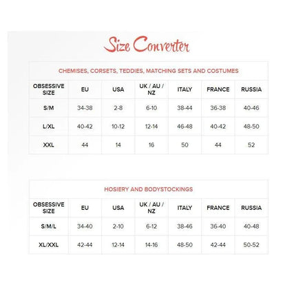 Size converter chart for chemises, corsets, teddies, sets, hosiery, and bodystockings, including regions EU, USA, UK/AU/NZ, Italy, France, Russia.