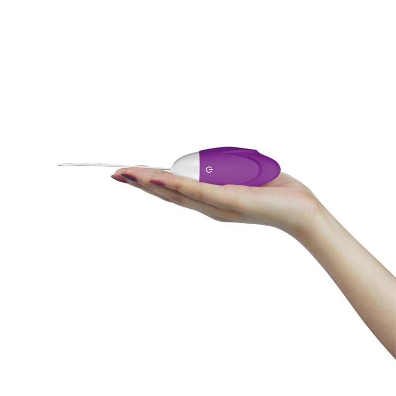 Vibrating Egg iJoy Remote Control USB Purple - secretsextoys.store