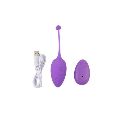 Purple Vibrating Egg Remote Control Sweety Teaser USB 5.7 with wireless remote and charging cable