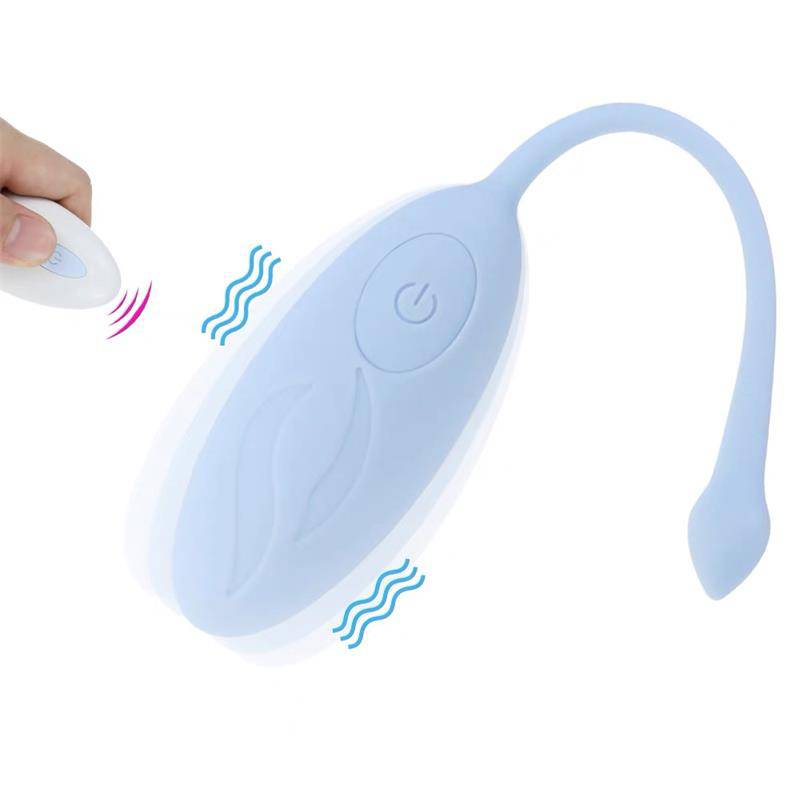 Vibrating Egg with Remote Control Blue - secretsextoys.store