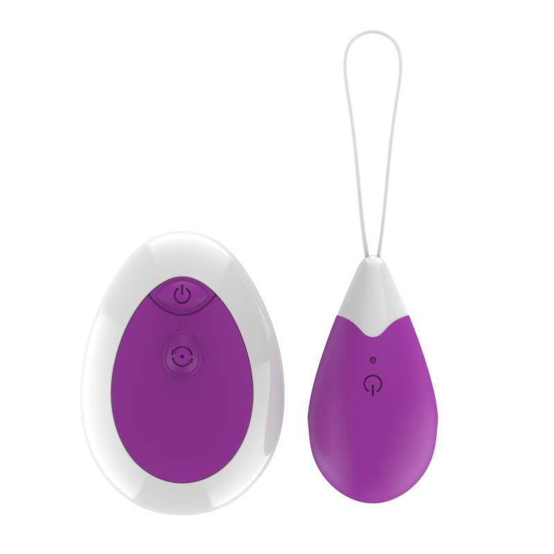 Vibrating Egg with Remote Control USB Purple - secretsextoys.store